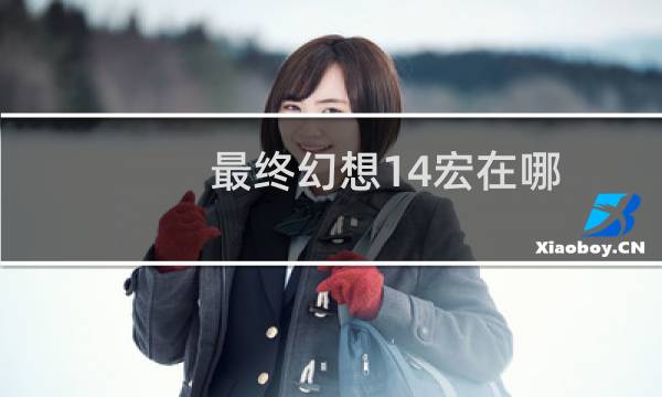 最终幻想14宏在哪
