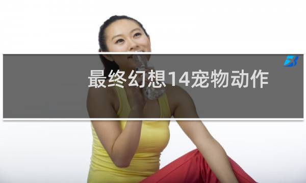 最终幻想14宠物动作