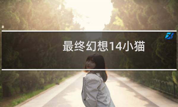 最终幻想14小猫