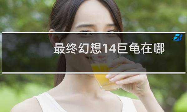 最终幻想14巨龟在哪