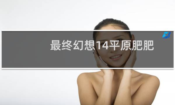 最终幻想14平原肥肥