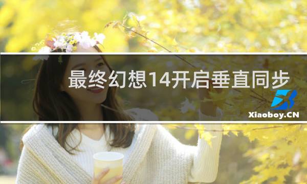 最终幻想14开启垂直同步