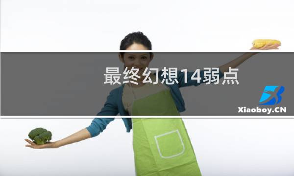 最终幻想14弱点