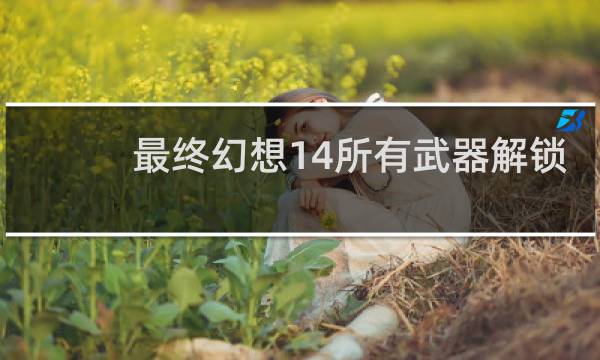 最终幻想14所有武器解锁
