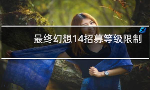 最终幻想14招募等级限制