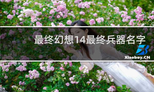 最终幻想14最终兵器名字