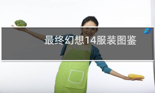 最终幻想14服装图鉴