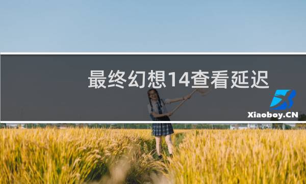 最终幻想14查看延迟