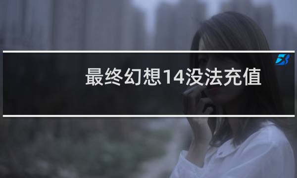 最终幻想14没法充值