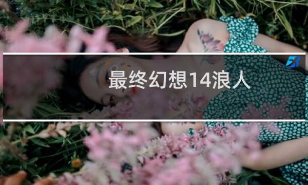 最终幻想14浪人