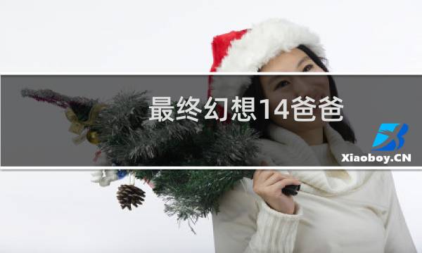 最终幻想14爸爸