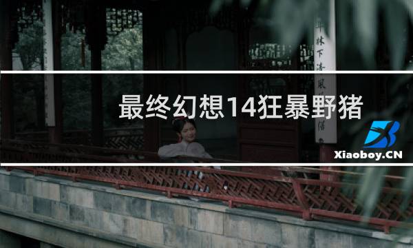 最终幻想14狂暴野猪