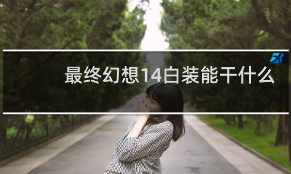 最终幻想14白装能干什么