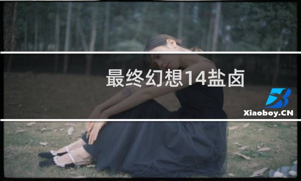 最终幻想14盐卤