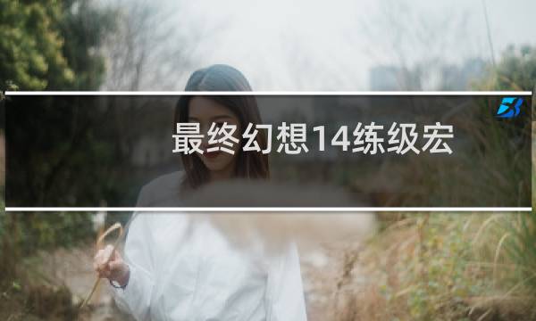 最终幻想14练级宏