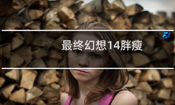 最终幻想14胖瘦