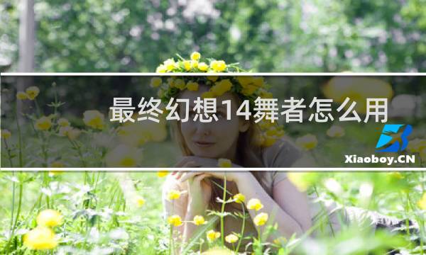 最终幻想14舞者怎么用