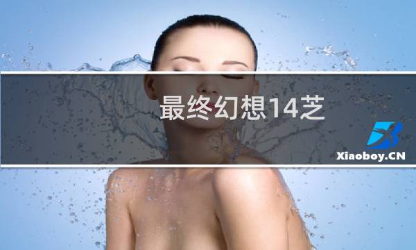 最终幻想14芝