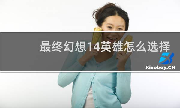 最终幻想14英雄怎么选择