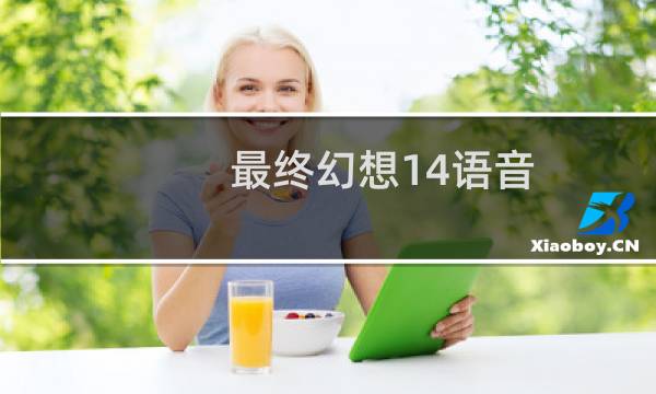 最终幻想14语音