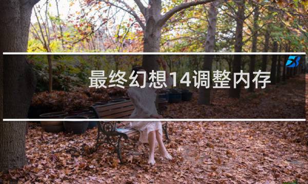 最终幻想14调整内存