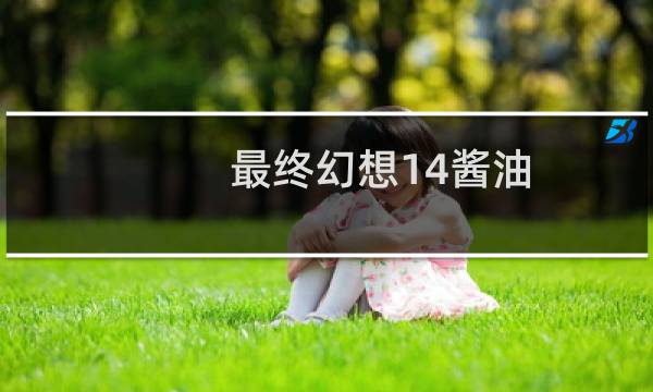 最终幻想14酱油