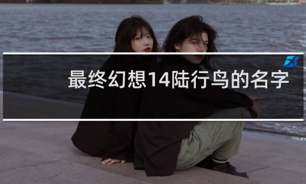 最终幻想14陆行鸟的名字