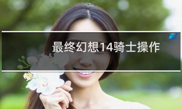 最终幻想14骑士操作