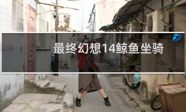 最终幻想14鲸鱼坐骑
