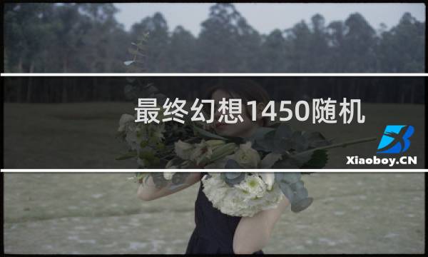最终幻想1450随机