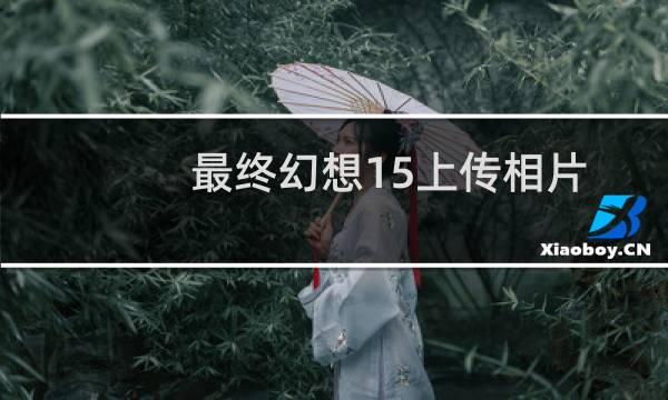 最终幻想15上传相片