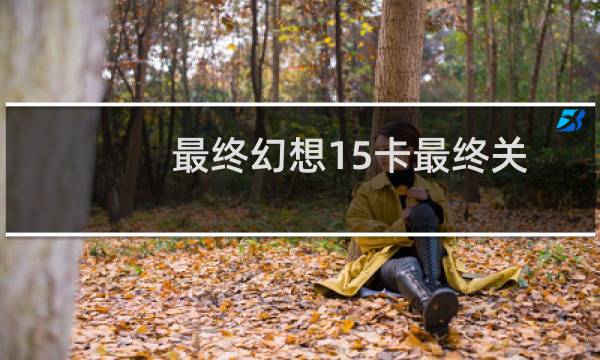 最终幻想15卡最终关