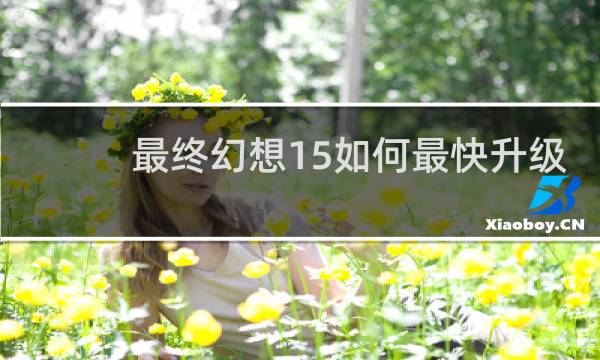 最终幻想15如何最快升级