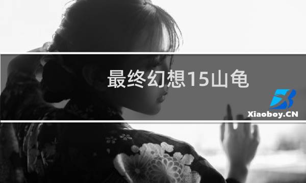 最终幻想15山龟