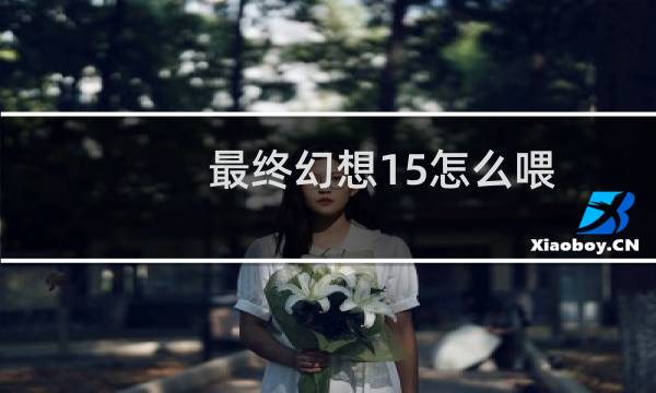 最终幻想15怎么喂
