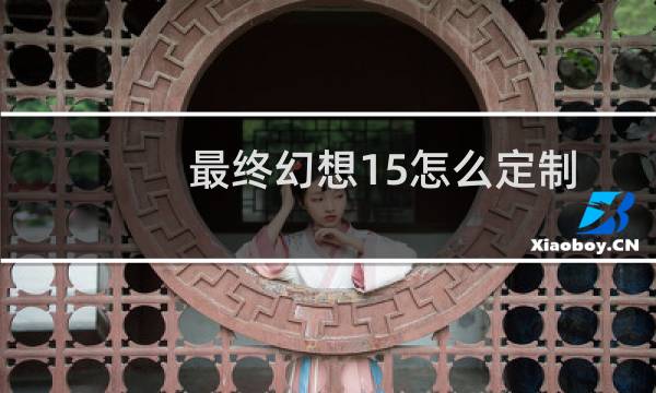 最终幻想15怎么定制