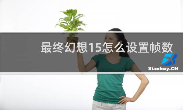 最终幻想15怎么设置帧数