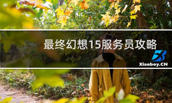 最终幻想15服务员攻略