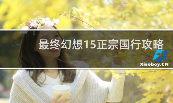 最终幻想15正宗国行攻略