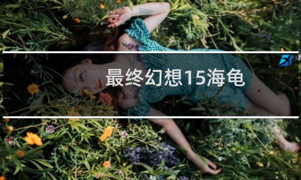 最终幻想15海龟