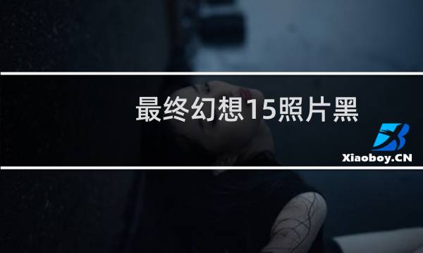 最终幻想15照片黑