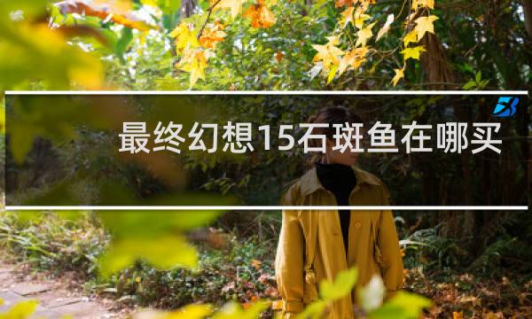 最终幻想15石斑鱼在哪买