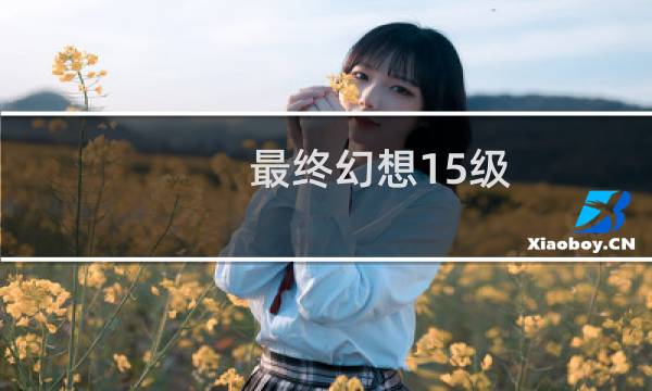 最终幻想15级