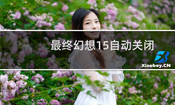 最终幻想15自动关闭
