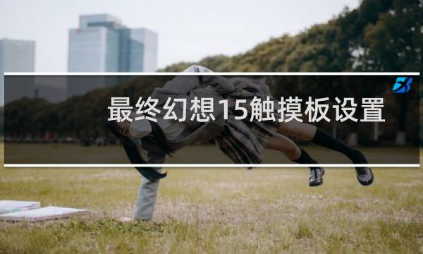 最终幻想15触摸板设置