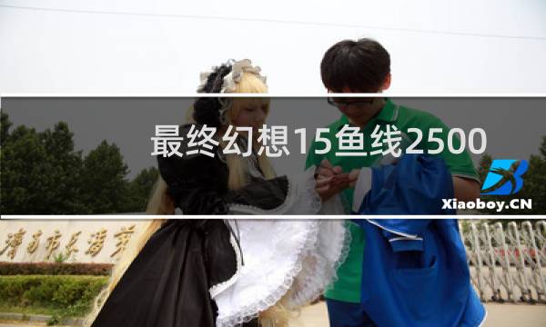 最终幻想15鱼线2500
