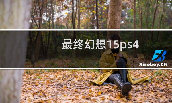 最终幻想15ps4 双人