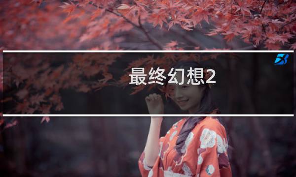 最终幻想2 状态