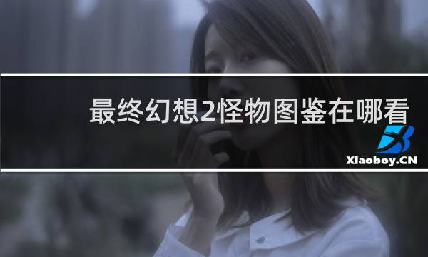最终幻想2怪物图鉴在哪看