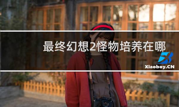 最终幻想2怪物培养在哪